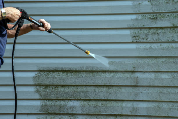 Best Local Pressure Washing Services  in Niagara, WI